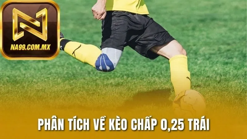 Bí Quyết Làm Chủ Kèo Nhà Cái Châu Á Dễ Dàng Trong Tầm Tay 3 Phân tích về kèo chấp 0,25 trái